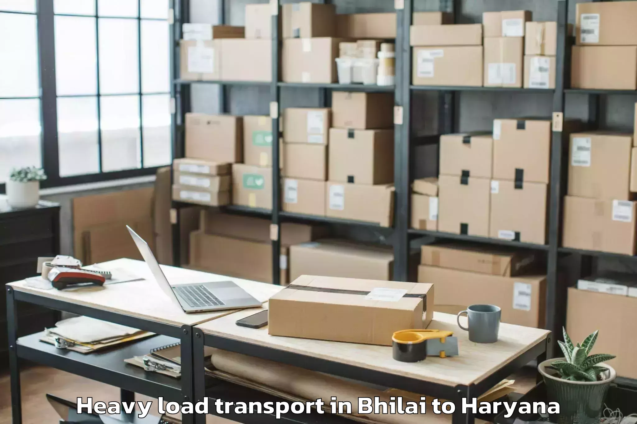 Leading Bhilai to Tauru Heavy Load Transport Provider